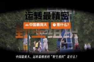 两代女篮人！隋菲菲解说忆往昔 呼吁理性看待张子宇！